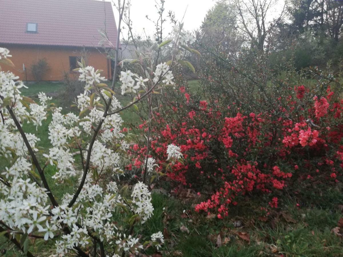 Agrojelonki Agroturystyka Гетшвалд Экстерьер фото